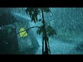 Relax &amp; Sleep Instantly on Rainy Night | Heavy Rainstorm &amp; Mighty Thunder Sounds on Tent in Forest