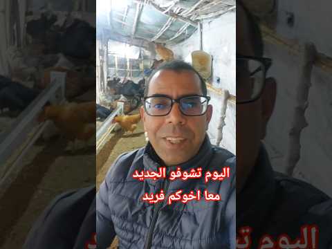 الجديد معا اخوكم فريد المغني تربية رائعة