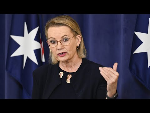 Sussan Ley Threatens The Nationals With Ultimatum To Reform The Coalition 
