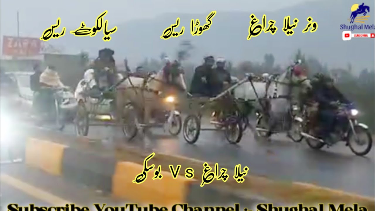 Nela Charag Vs Boski Horse Race 23/12/2023 | Tanga Race | 