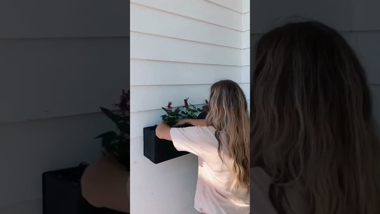 Best Plants For Window Box