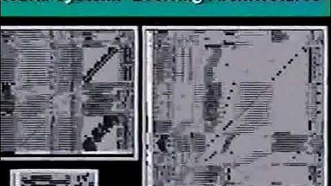 Polyworld: Artificial Life Simulation (VPRI 439)