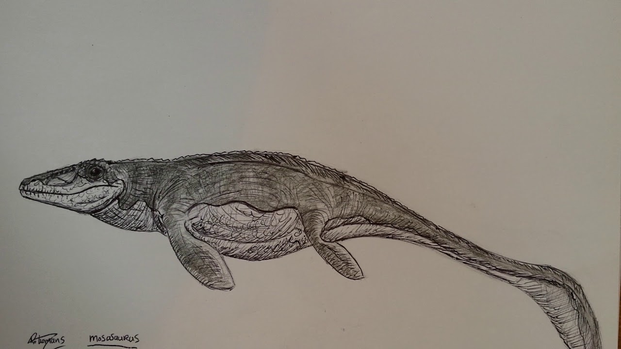 Мозазавр картинки раскраски