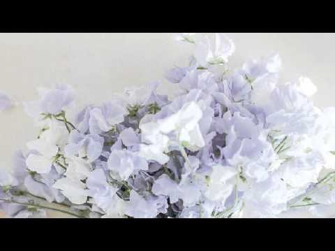 [everysing] 하늘만 허락한 사랑