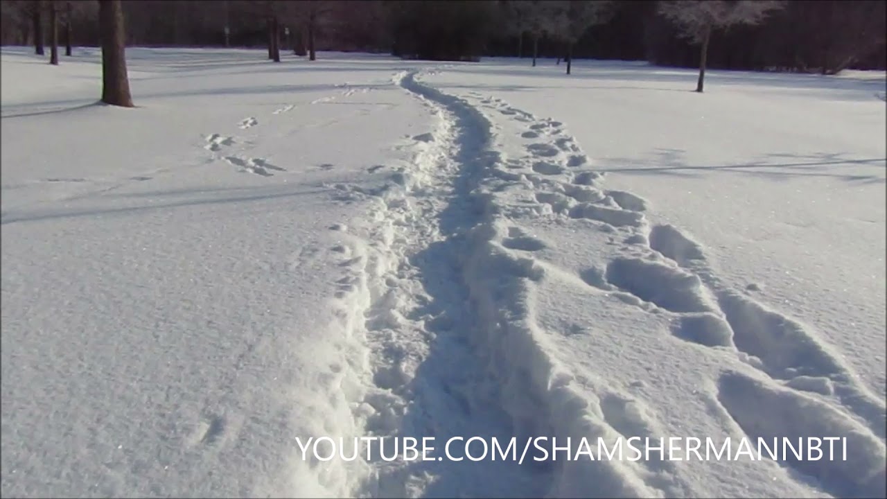 Winter morning walk in Toronto.// Walking Sound Effect.