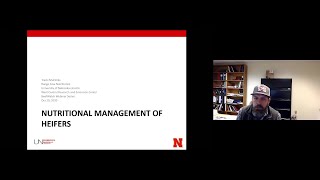 Nutritional management of heifers prior to the breeding season