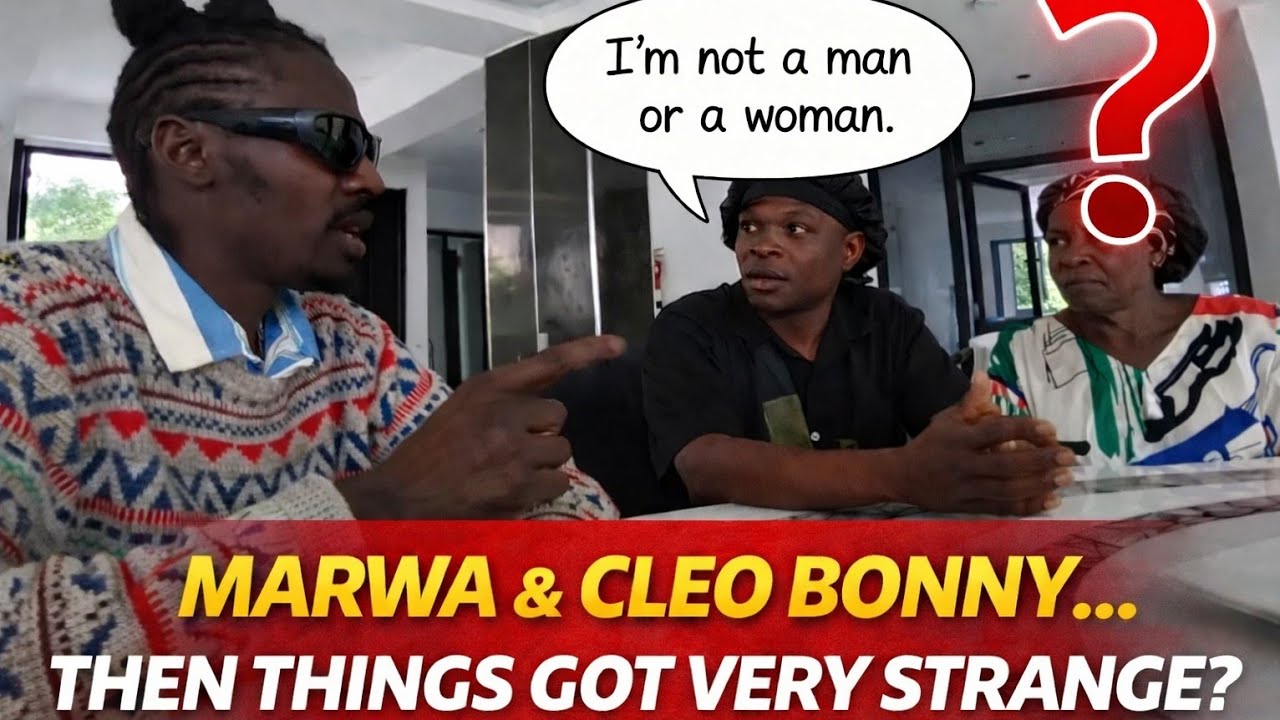 Марва берет интервью у Клео Бонни… Затем он говорит: «Я не мужчина и не женщина».