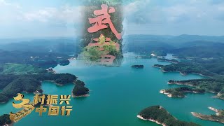 “武”出致富路！去湖北十堰龙王沟村体验武当文化！看智能生态养鱼，开启渔业养殖新模式 「乡村振兴中国行」| 财经风云