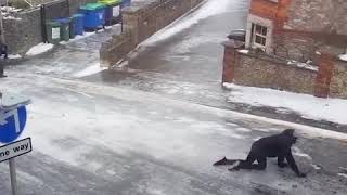 snow2