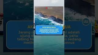 pernah liat gak ❓#trending #viralvideo #shorts