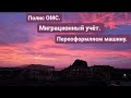 35.Из Германии в Россию/Крым. Полис ОМС, миграционный учёт,  переоформляем машину и наши будни.