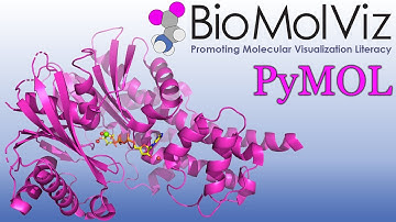 PyMOL Tutorial: Active Site Modeling