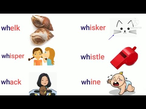 WH Digraph Sound | WH Practice | wh words | beginning wh words ...