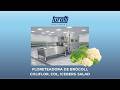 Floreteadora Industrial TURATTI Titano | Corte de Brócoli y Coliflor de Alta Precisión