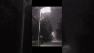 Money Flip - Numb