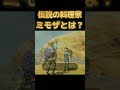 【神ゲーキャラ紹介】ミモザとは?ゼルダ史上最強の○○であり伝説の料理家【ブレワイ】【ゼルダの伝説 ブレスオブザワイルド】#shorts