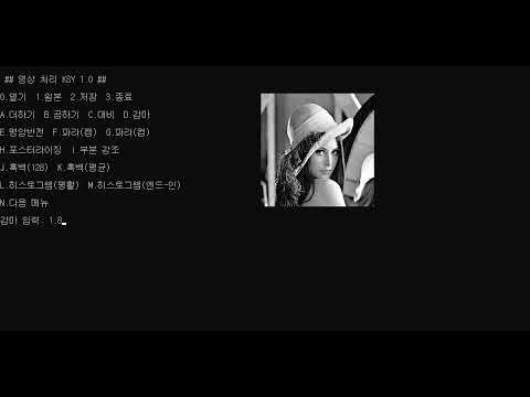 C언어 기반 영상 처리 프로그램 Version 1.0