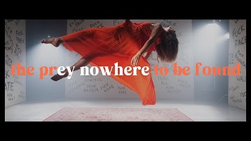 Nowhere To Be Found - The Prey