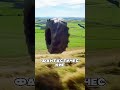ЗАЧЕМ они сбросили это КОЛЕСО 🔥😱