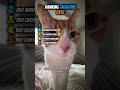 These Cats Won’t Stop Talking 😂🐾 #funny #catscompilation #ranking
