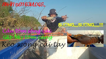 Nhân đen 63vlogs///Câu tôm sông cái,,,trúng tôm càng khủng long,,,kéo cần sướng...sướng,,,!!!