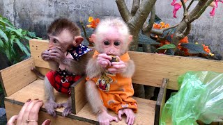 Xuka And Ema Having Breakfast