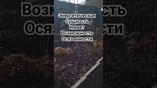 Энергетическая сущность #youtubeshorts #магия #youtube #ytshorts,#сущность,#лярвы,#энергия,#shorts