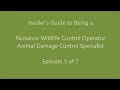An Insider's Tips &amp; Ideas on Becoming a Nuisance Animal Trapper: Episode 5
