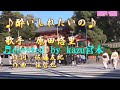 ♬ 酔いしれたいの / 原田悠里 // kazu宮本