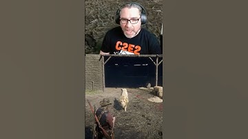 Roger Clark has never seen the RDR2 animation