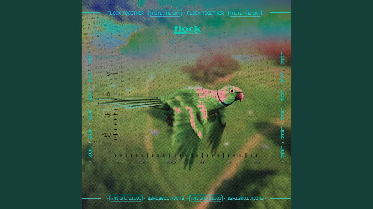 Watch Pacifico on YouTube Watch Pacifico on YouTube