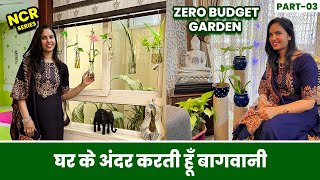 महीनो तक मेरे पौधे रहते है घर के अंदर  Know How to Gardening Inside Home  Zero Budget Garden