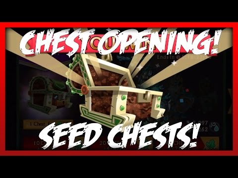 Knights and Dragons - "CHEST OPENING" 24 Seed Chests! NEW Haoma Robes plus!