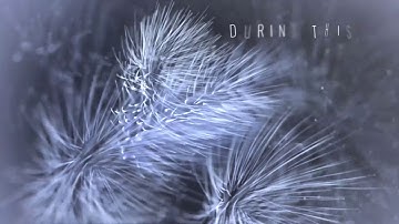 Christmas 2020 | After Effects Project Files - Videohive template