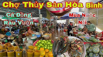 “Sốc Với Chợ Miền Tây Mùa Nước Nổi – Cá Đồng Tươi Rói,Rau Đồng Xanh Mướt Giá Rẻ Bất Ngờ!”