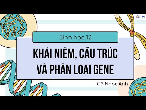 Khái niệm, cấu trúc và phân loại gene - Sinh học 12 - Ôn thi THPT quốc gia - youtube
