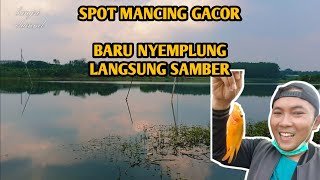 Spot Mancing Liar di Karawang | Gacor Gaes