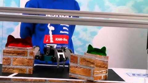 The 2nd KONDO Land Multi-Legged Robot Obstacle Race, YASHIGANI 2nd race