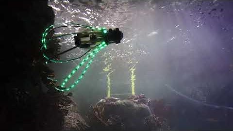 This ‘squidbot’ jets around and takes pics of coral and fish