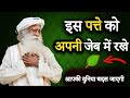              sadhguru hindi   iq tv hindi