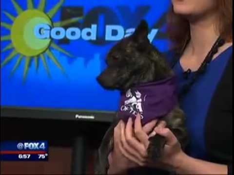 horseshoe bend Kendell visits Good Day FOX 4