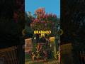 прогулка по Грамаду 08.03.2025 #бразилия #brasil #Грамаду #Gramado #русскиеВбразилии