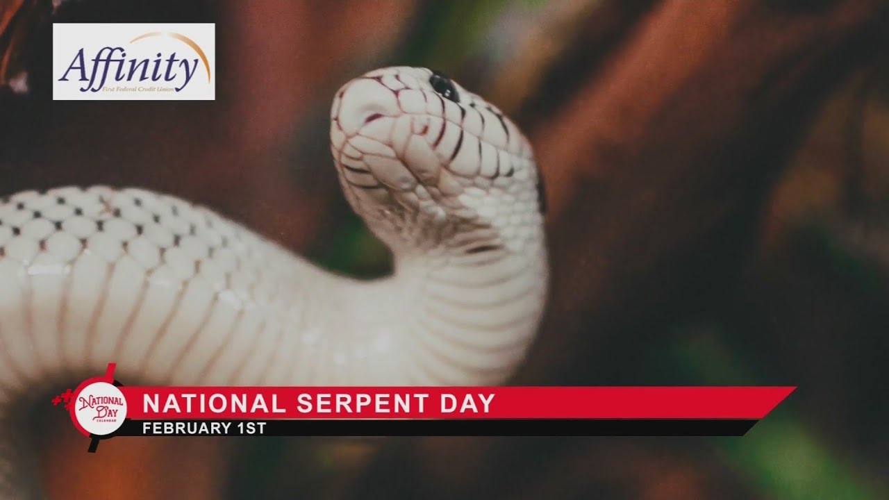 National Day Calendar National Serpent Day YouTube