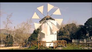 Voluntube World 2019