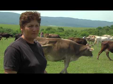 ქართული ყველის ფესტივალი- მცხეთა 2016/ხევსურთსოფელი/