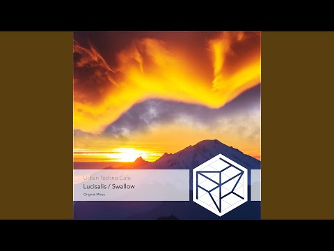 Παρακολούθηση Swallow (Extended Mix) στο YouTube