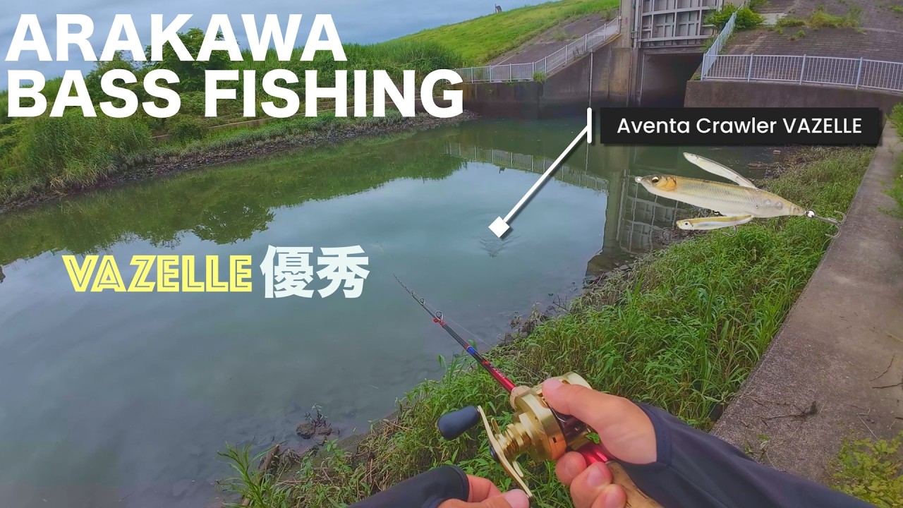 【荒川バス釣り】トップの釣りは気持ちいい