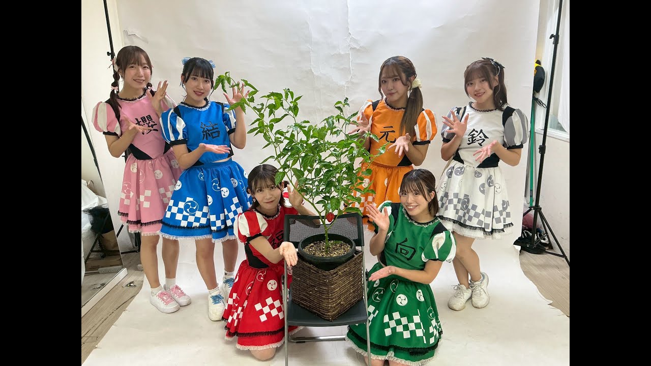 Tohoku's Habanero Harvest - YouTube