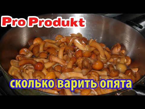 Сколько варить опята