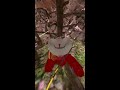 Meta Quest Broadcast | Powered by LIV